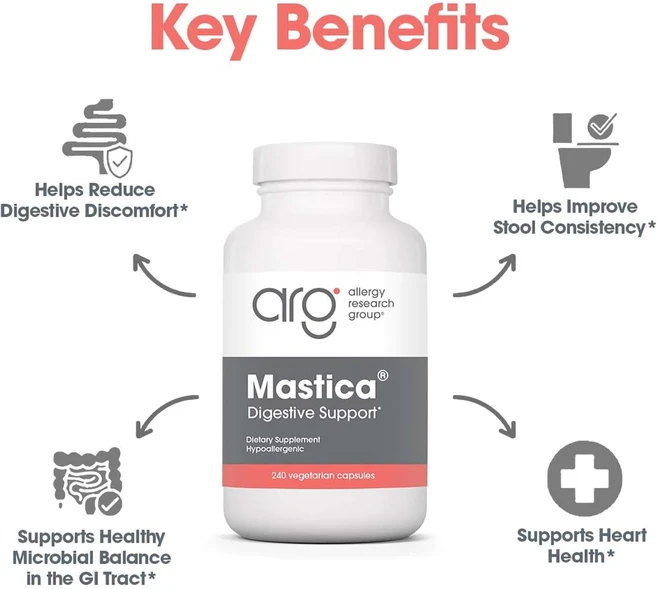 알러지리서치그룹 마스티카 베지테리안 캡슐, 240캡슐, 1개, 240정 - 쿠팡