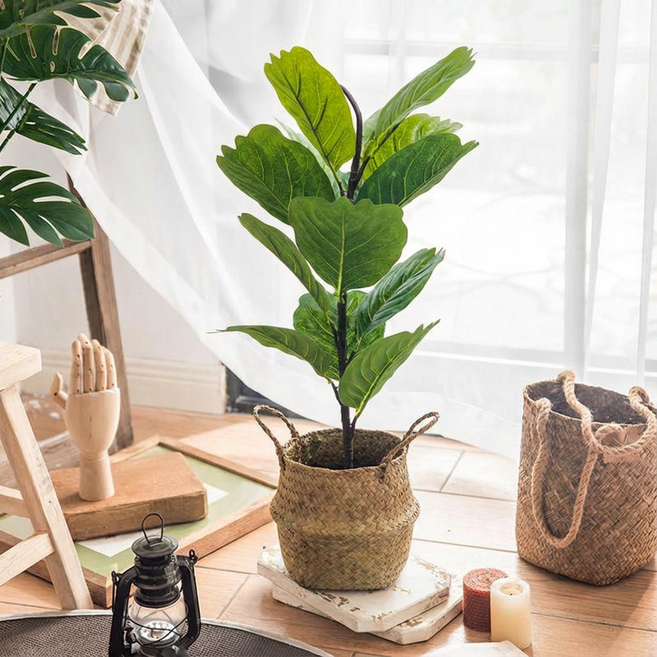 그린 오피스 데스크톱 시뮬레이션 인테리어 화분 식물, 1개, 피카스(높이 약 60CM)