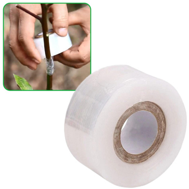 그린스하비 원예 나무 식물 광분해 접목 테이프, 1개