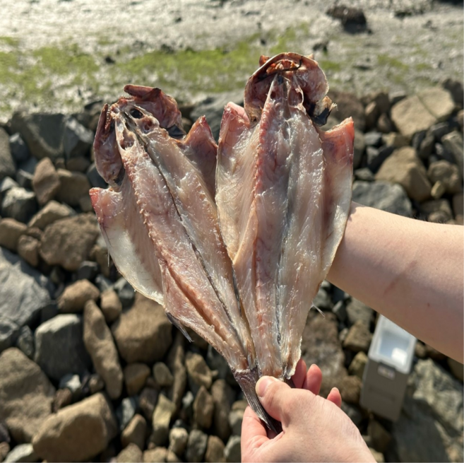 mk 국내산 자연해풍과 일광으로 반건조시킨 민어 1개4미200g내외 남해서 잡어 염장해서 반건조 민어국내산 자연해풍과 일광으로 반건조시킨 민어 1개4미200g내외 남해에서, 1개, 5