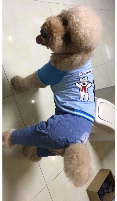 福媽寵物 狗狗親子裝 秋冬棉T 科基柴犬中大型犬適用, 1個, 藍色10號 胸圍90背長61