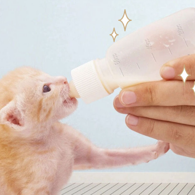 새끼고양이젖병 아기동물 아기강아지 소물통 수유용주사기 애완동물 약물투여, 1개