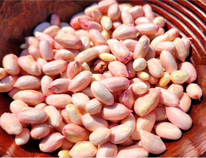 국산땅콩 직접농사지은 여주햇땅콩, 1kg, 1박스