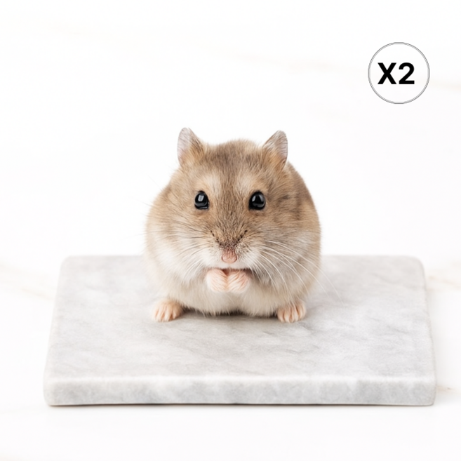 햄스터 마블 쿨매트 소동물 대리석, 2개, 그레이