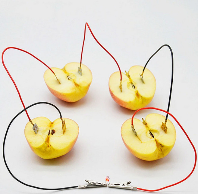 과일 전지 LED 실험 세트, 1세트