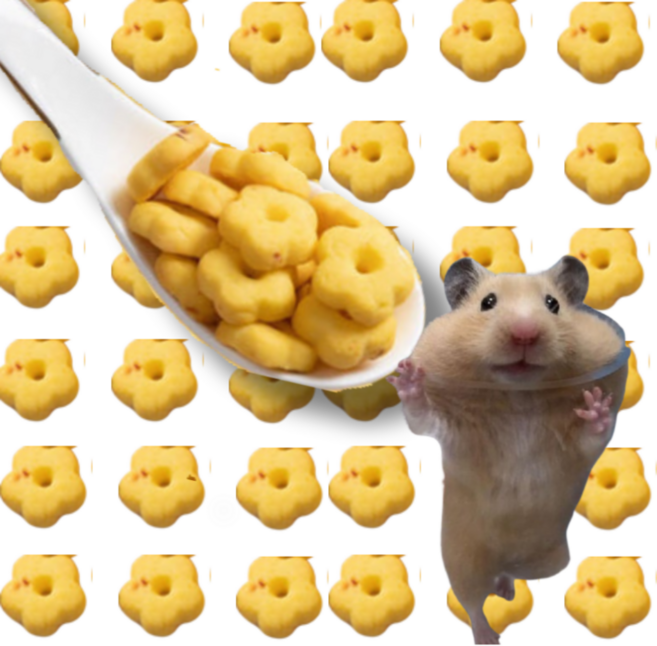 (best) 햄스터 별 사탕 간식 이갈이 슈가글라이더 친칠라 기니피그 다람쥐, 1개, 8g