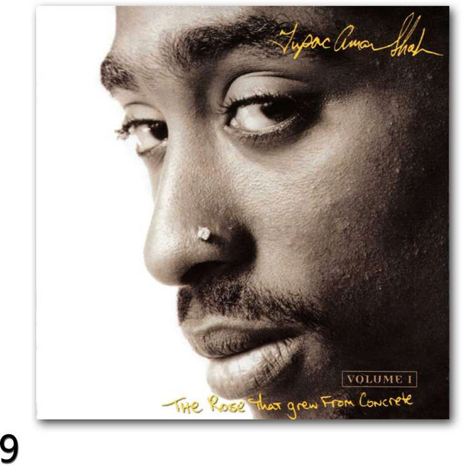 인테리어 포스터 힙합 뮤지션 패브릭 포스터 투팍 앤 비기 40cm, 9