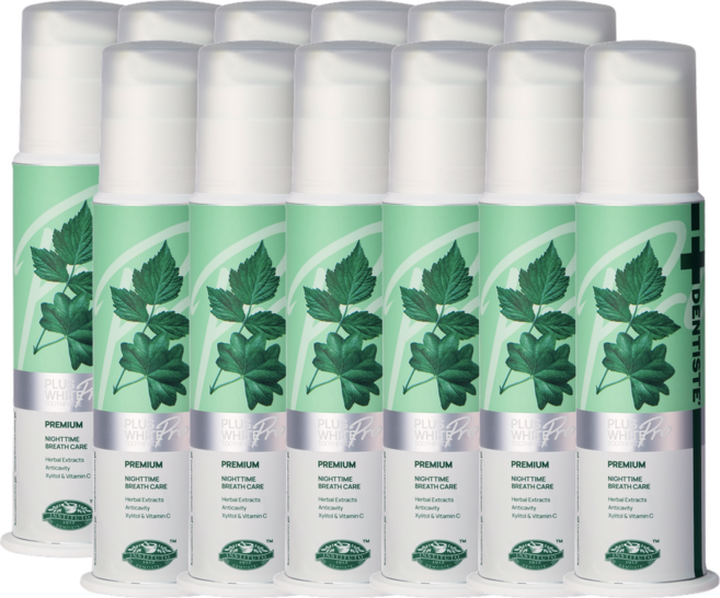 덴티스테 플러스화이트 프로 펌프형 치약, 170g, 12개