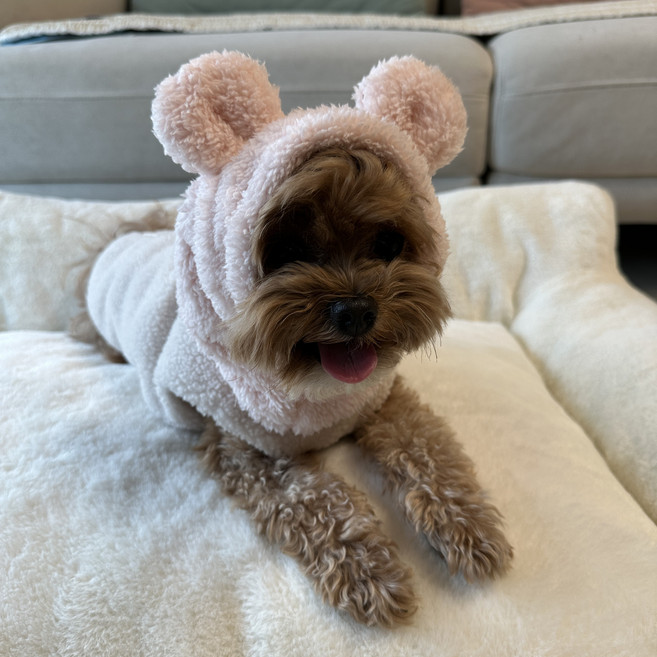 헬로우댕 애완용 양털 워머, 1개, 핑크