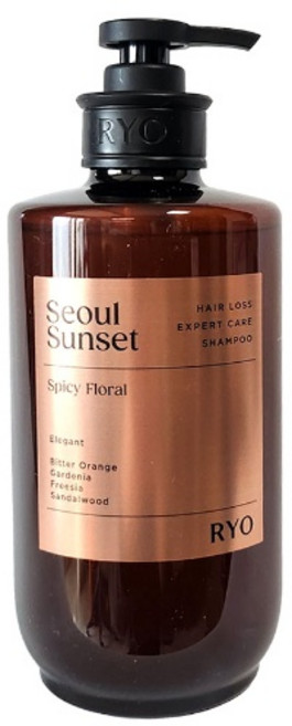 려 자양윤모 탈모증상전문케어 샴푸 서울석양 585ml, 1개