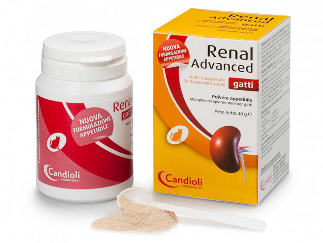 레날 어드밴스드 캣츠 40g / Renal advanced cats / 레날 어드벤스드 캣츠 / 신장질환 신부전치료 보조제 + 동물병원 전용 유산균, 1개