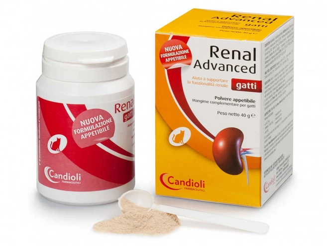 레날 어드밴스드 캣츠 40g / Renal advanced cats / 레날 어드벤스드 캣츠 / 신장질환 신부전치료 보조제 + 동물병원 전용 유산균, 1개 - 쿠팡