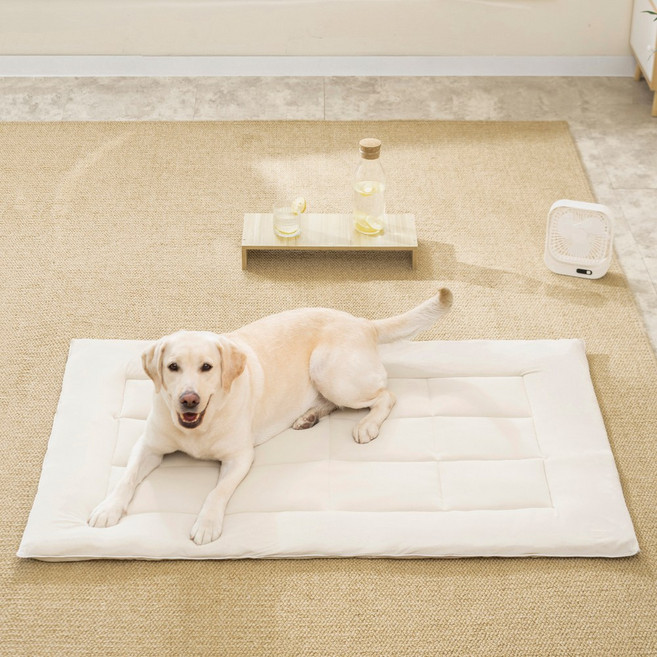 소하임 냉감 쿨링 통세탁 펫 방석, 샌드베이지, 1개