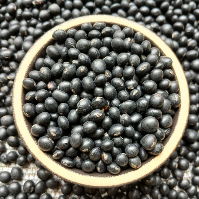 이슬처럼 국산 2025년산 약콩 2kg 쥐눈이콩 서목태 검은콩, 1개