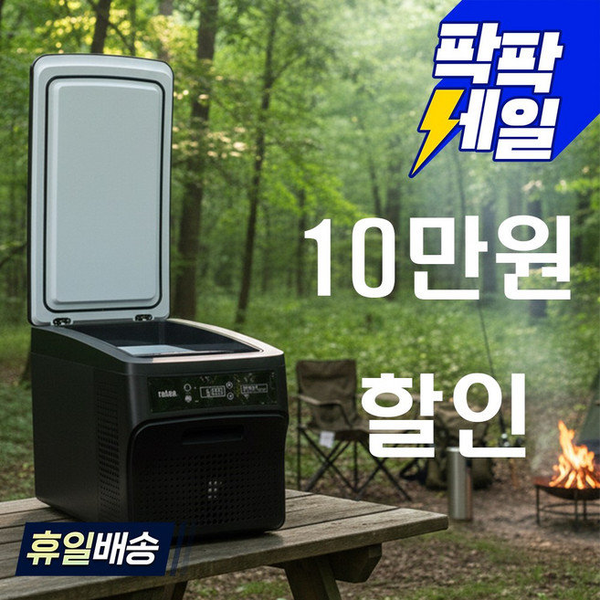 REINA 가정용 차량용 냉장고 냉동고, 26L