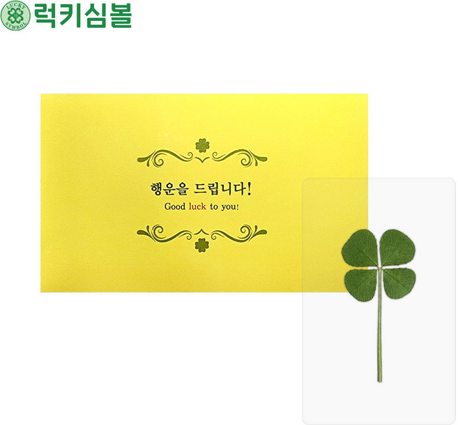[럭키심볼] 행운의 네잎클로버 생화 투명 코팅카드+봉투세트 특별한선물/네잎클로버카드/네잎클로버굿즈/행운부적/응원선물/행운의선물/대량맞춤, 01.네잎 투명코팅카드+봉투세트 1장
