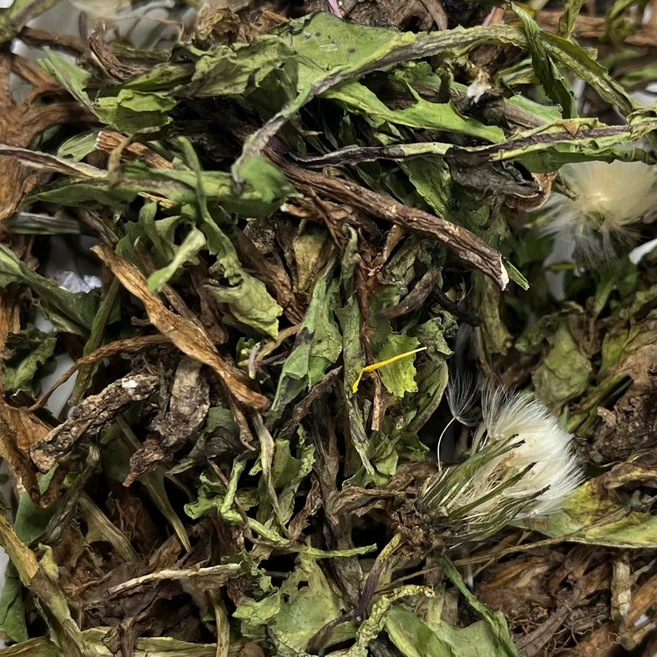 국산 흰민들레 포공영 민들레 뿌리 잎 꽃 포공령 천년건강 한방차, 1개, 200g - 쿠팡