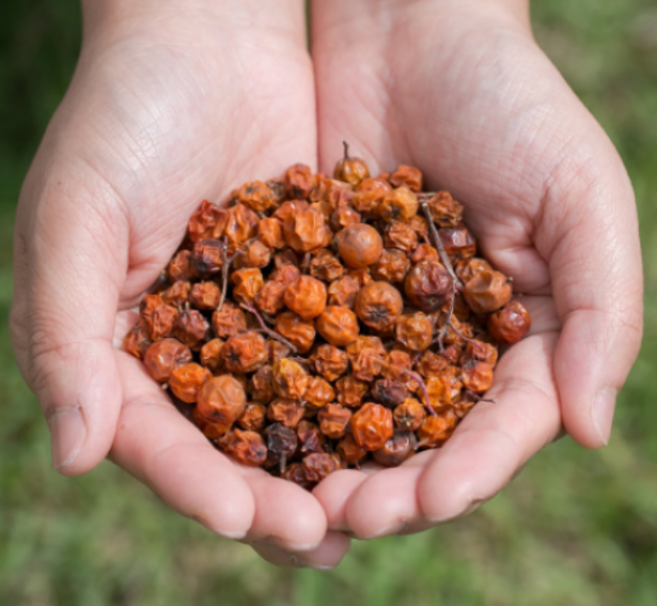 강원도 인제 토종건마가목열매 마가목열매효능 마가목차 정공실, 1개, 300g