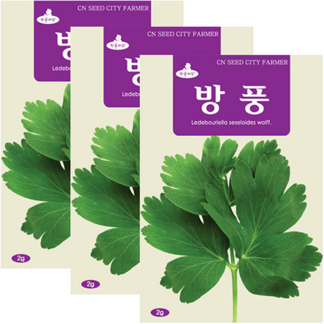 세인화분 방풍 2g - 국산 방풍씨 방풍씨앗, 3개
