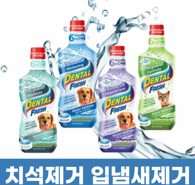 강아지 치석제거 구강청결제 입냄새 덴탈워터 가글, 1개