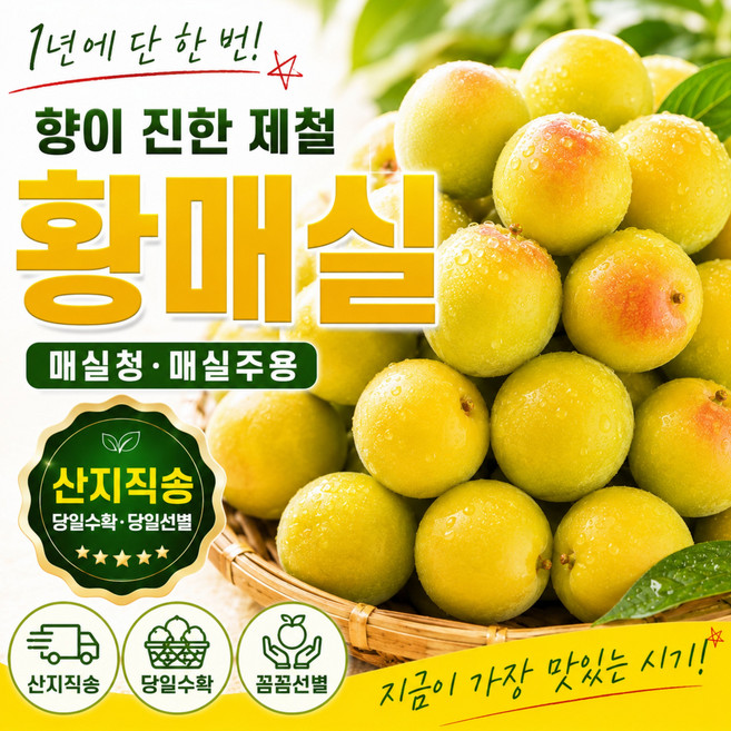 9위 - [1년중단한번]당일수확 엄격선별 특품 황매실, 1박스, 3kg (특대)