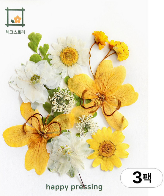체크스토리 압화 컬러가든시리즈 누름꽃 꽃송이 압화재료 공예, 나비옐로우10(3팩), 옐로우