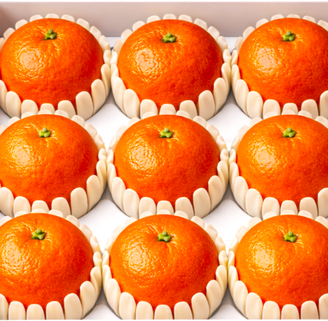 [최상급 원물] 제주 선물용 레드향 선물세트, 레드향 3kg, 1박스