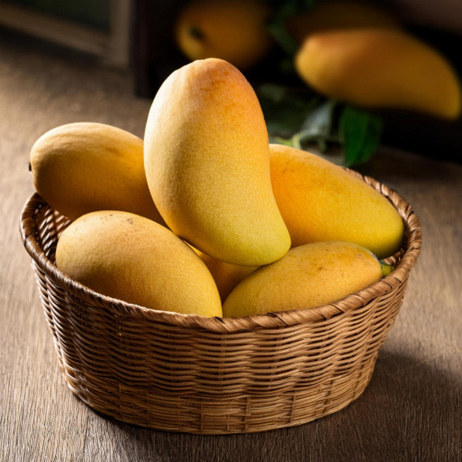 [선별특품] 무지개 망고 태국 마하차녹 항공직송 초고당도 생망고 디아머스, 1개, 5kg (특상)