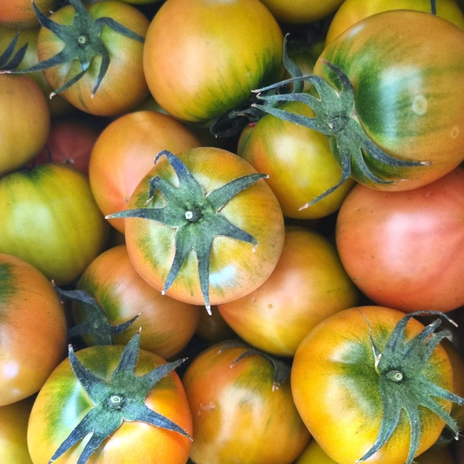 당일수확 산지직송 명품 대저 쥬스용 토마토 2.5kg, 못난이 쥬스용 랜덤과, 1박스, 못난이 쥬스용 랜덤과 2.5kg