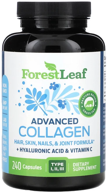건강챙기세요 Forest Leaf 어드밴스드 콜라겐 캡슐 240정 백살까지오래오래, 1개 - 쿠팡