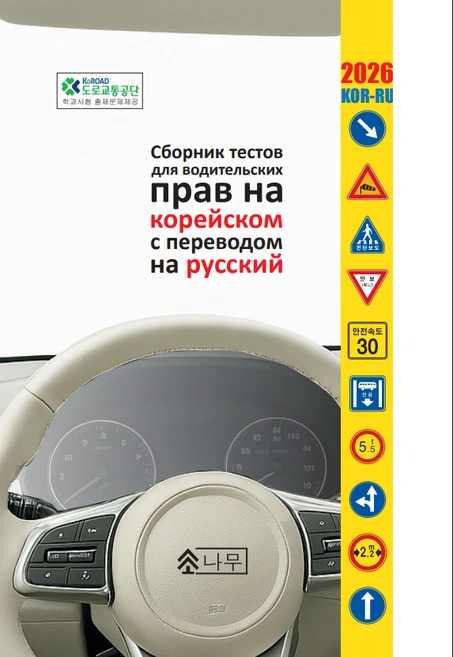 Vojdenie v3, Test KOR-RUS 2026, 1개 - 쿠팡