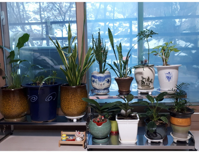 오엔에스 스테인리스 화분 선반 1단 2단 분해 조립 가능, 1단 (780x265x190)