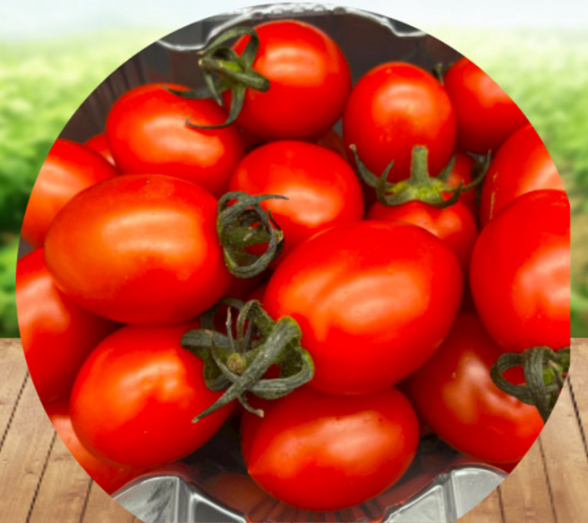 스테비아 방울토마토 한라봉향 특허인증 HACCP인증, 1개, 500g