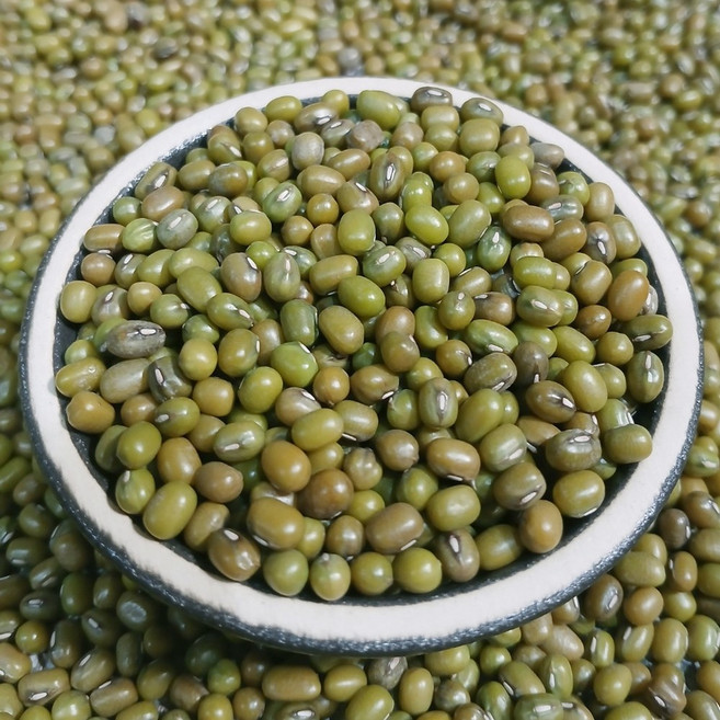 이슬처럼 수입 통녹두 녹두, 1개, 4kg