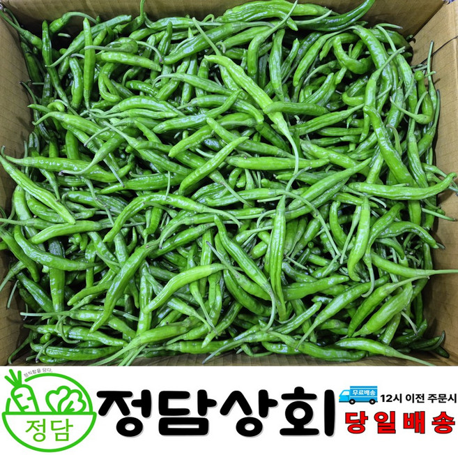 [ 정담상회 ] 국내산 꽈리고추 못난이고추 안매운고추 1kg 2kg 4kg, 1박스, 1kg(상)