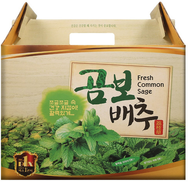 건강중심 곰보배추즙, 100ml, 60개