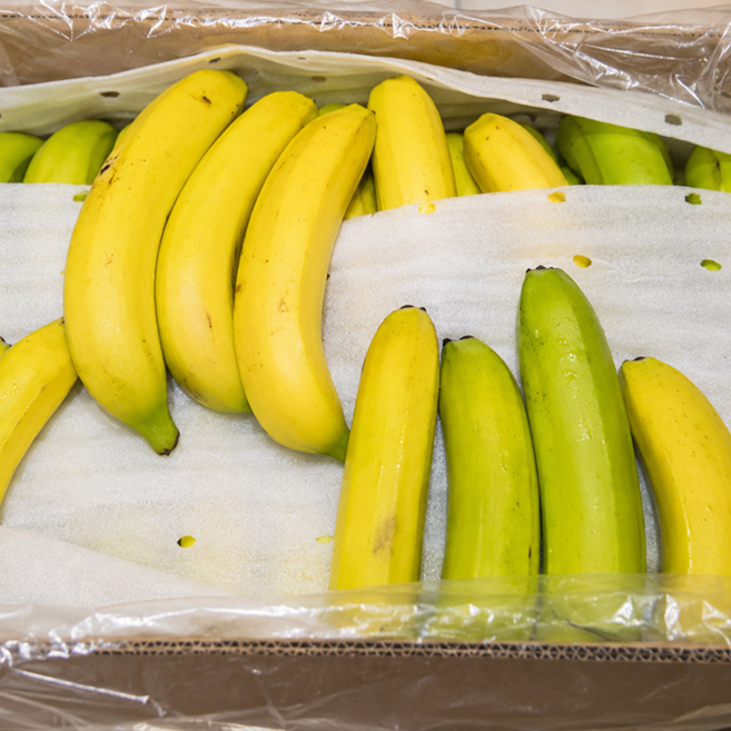 대용량 고당도 낱발바나나, 1개, 6kg