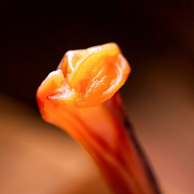 [하늘갓] 40년 역사의 부드러운 오징어 장족 최고의 맛과 품질을 자신합니다, 1박스, 300g