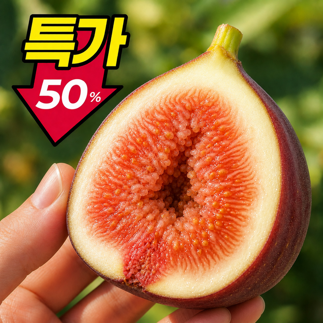 [50박스한정] 프리미엄 영암 생 홍무화과, 1개, 500g