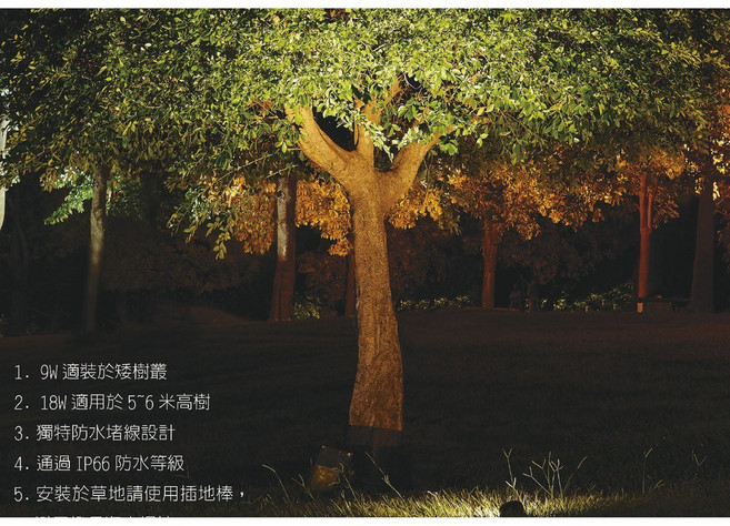 舞光 LED 9W 戶外防水聚光照樹燈 OD-3174 戶外防水聚光燈吸地式聚光照樹燈矮樹叢投射, 1個