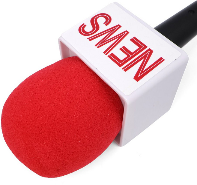 가짜 NEWS 마이크, 단품, 단품