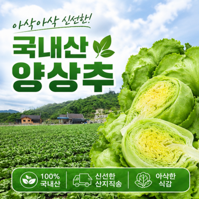산지직송 식자재 벌크 손질 깐 양상추 샌드위치 다이어트, 12개, (벌크포장)