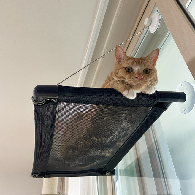 차즈마켓 고양이 해먹 창문해먹 침대, 기본형, 1개