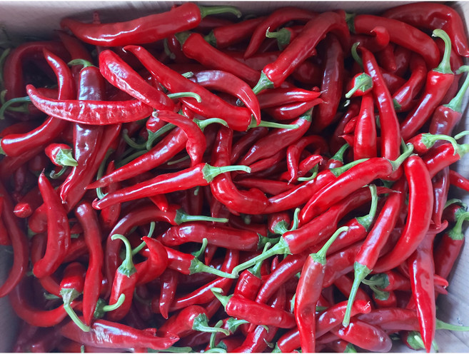 국내산 업소용 홍고추 10kg, 1개