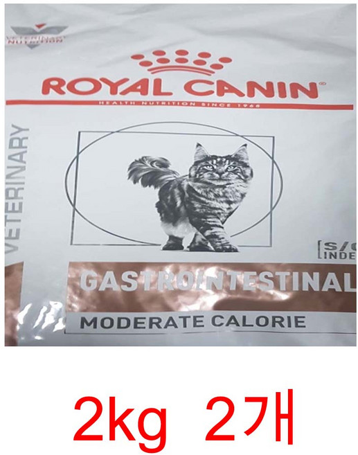 [로얄캐닌] 캣 가스트로인테스티널 모더레이트 칼로리 2kg, 4kg, 1개, 오리