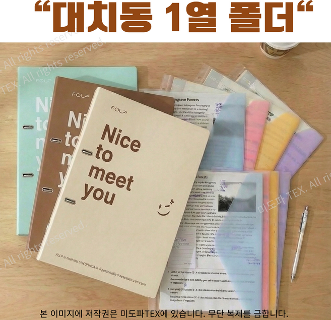 대치동 1열 고교학점제 파일 폴더 A4 모의고사 학원과제 시험지 오답노트 서류 보관함 분류파일철, 1개, 민트