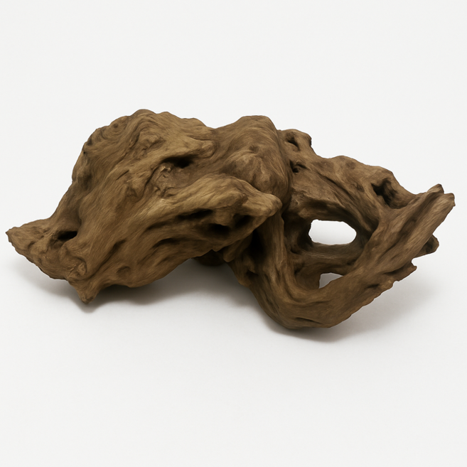 뉴런 맹그로브유목 중사이즈 20-30cm