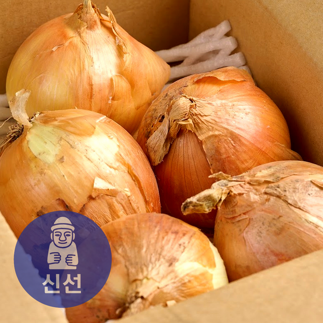 10위 - [신선상회] 26년 햇양파 산지직송 특품, 1개, 10kg (특)