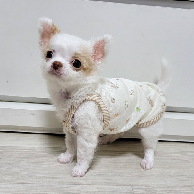 팻티아 여름 베베 끈나시 오가닉, 래빗트리 Natural, 1개, 래빗트리 Natural