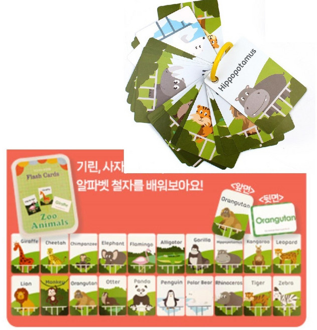 초등영어공부 의복관련 단어 플래시카드 포켓 어린이집교구 단어카드 지능발달 숫자카드 스스로학습, 동물원, 1개